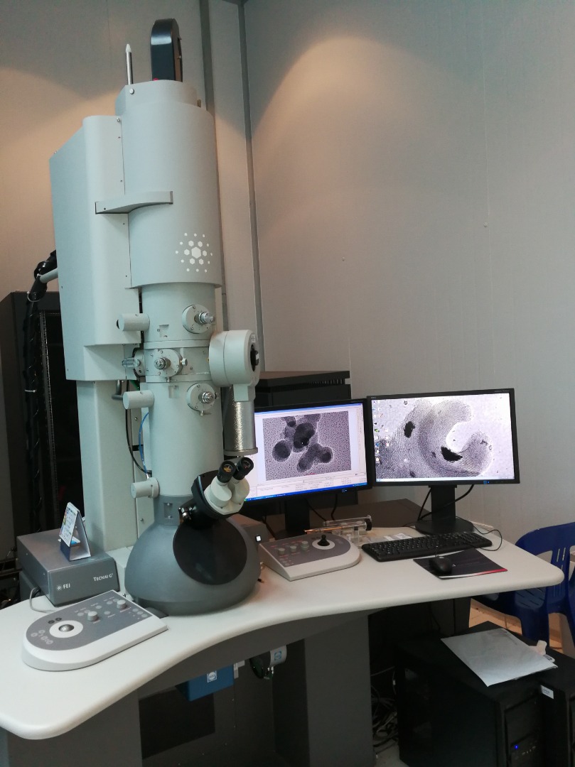 CryoTransmission Electron Microscopy A Reliable Technique or Just